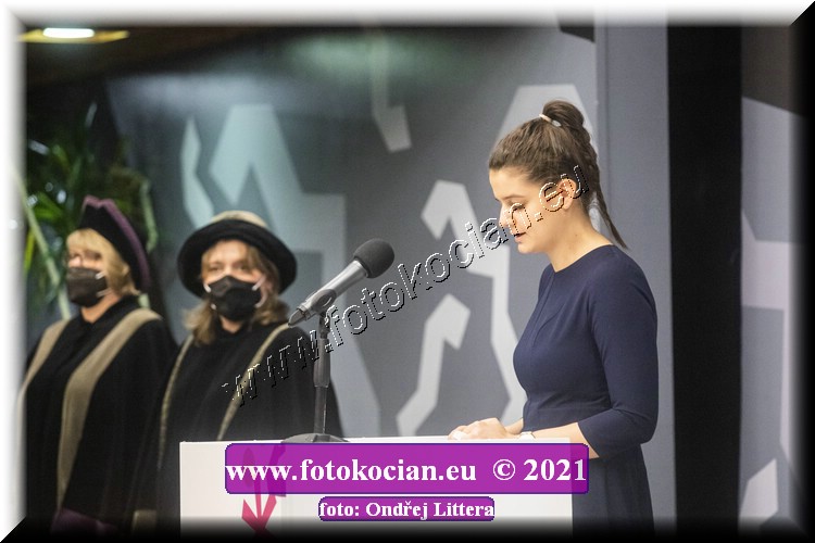 Náhled obrázku: _60A1251.jpg