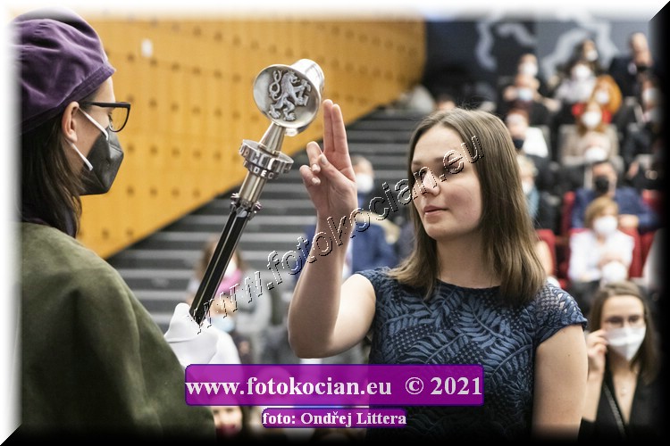 Náhled obrázku: _60A1253.jpg