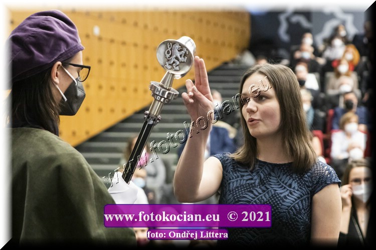 Náhled obrázku: _60A1254.jpg