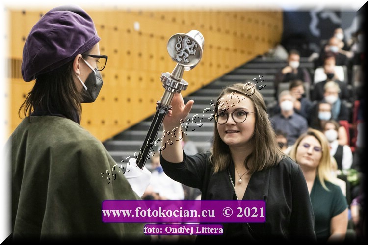 Náhled obrázku: _60A1260.jpg