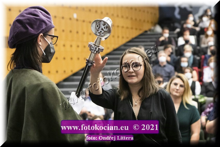 Náhled obrázku: _60A1262.jpg