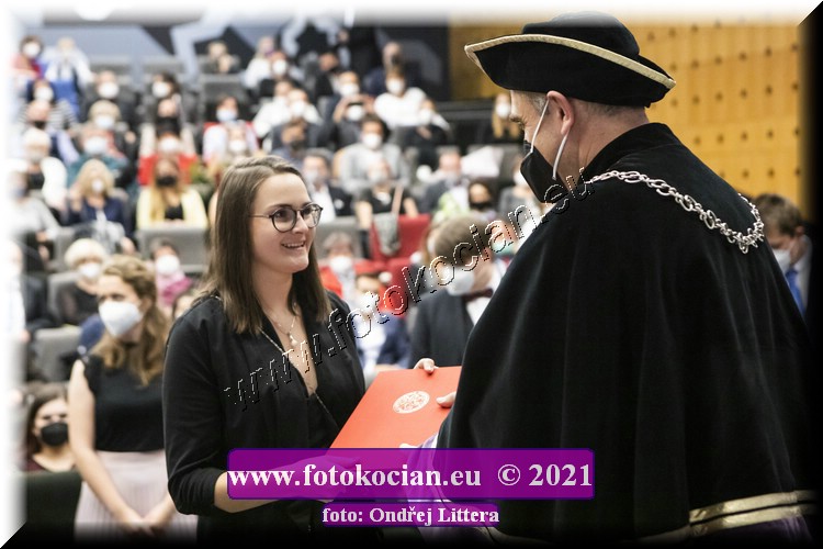 Náhled obrázku: _60A1264.jpg