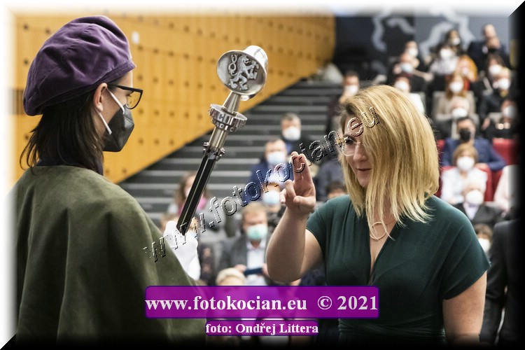 Náhled obrázku: _60A1269.jpg