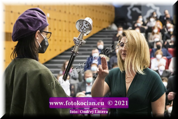 Náhled obrázku: _60A1270.jpg