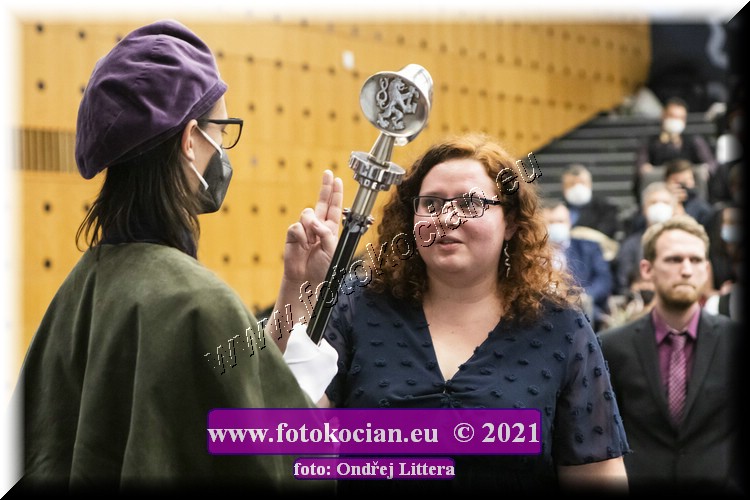 Náhled obrázku: _60A1276.jpg