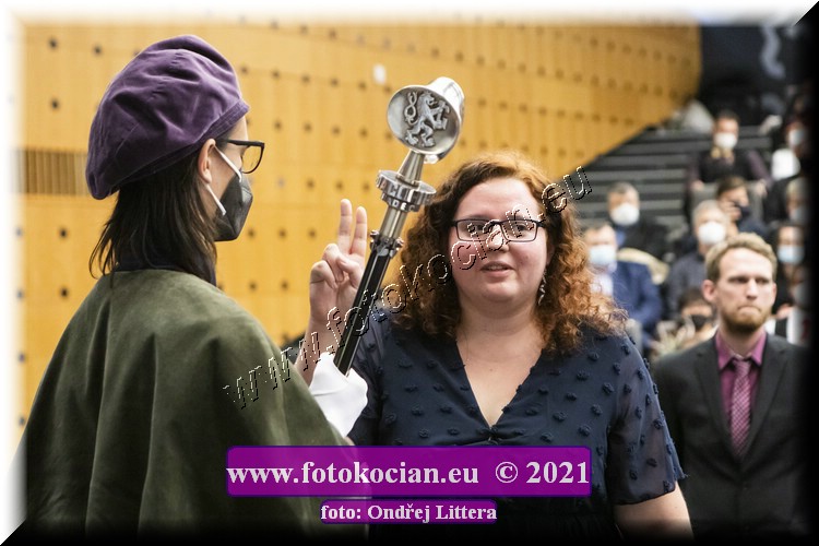 Náhled obrázku: _60A1278.jpg