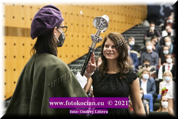 Náhled obrázku: _60A1287.jpg