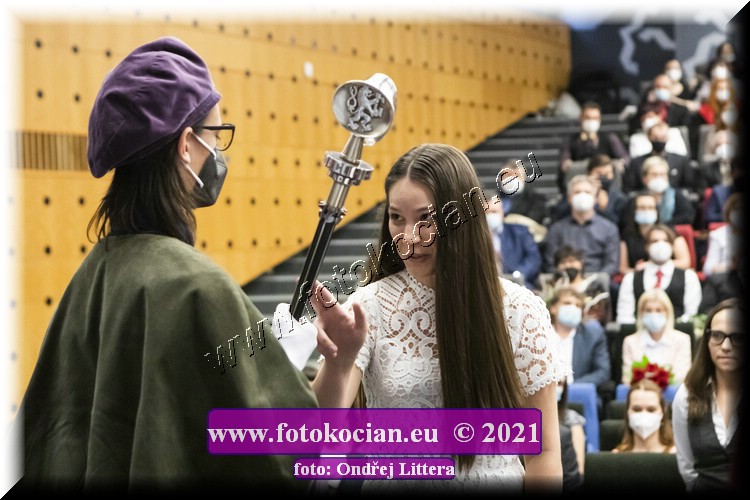 Náhled obrázku: _60A1297.jpg