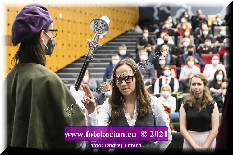 Náhled obrázku: _60A1302.jpg