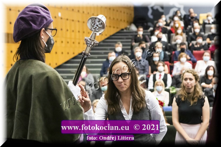 Náhled obrázku: _60A1303.jpg