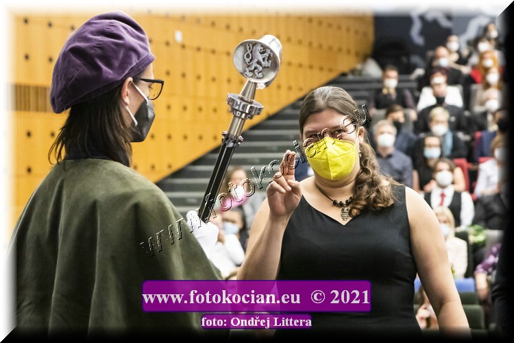 Náhled obrázku: _60A1314.jpg