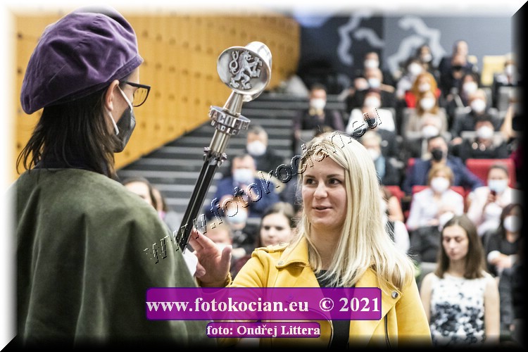 Náhled obrázku: _60A1394.jpg