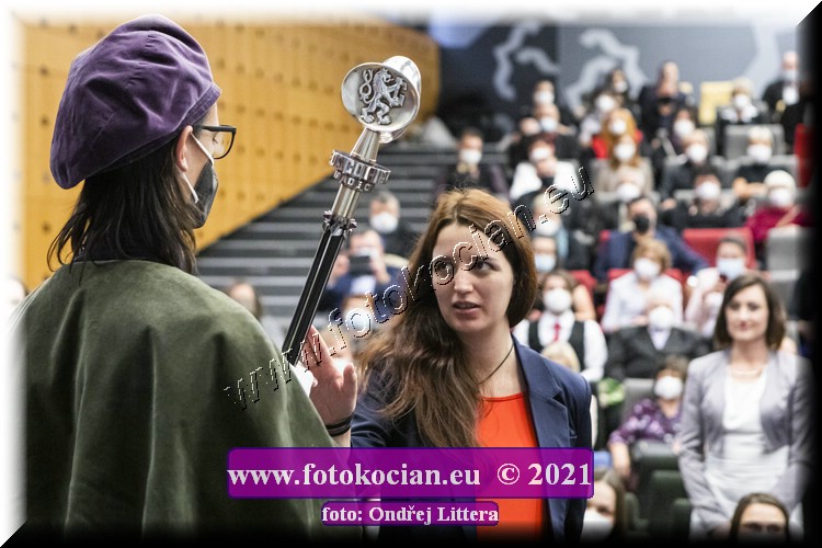 Náhled obrázku: _60A1397.jpg