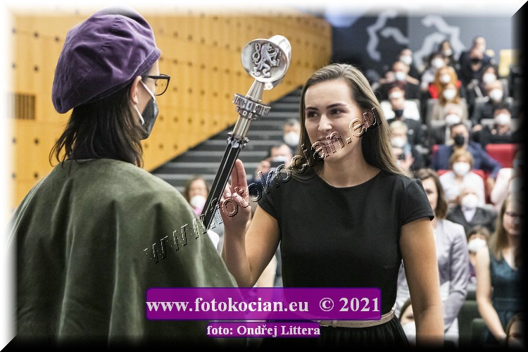 Náhled obrázku: _60A1403.jpg