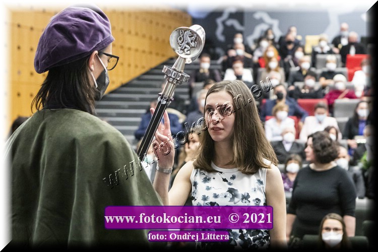 Náhled obrázku: _60A1413.jpg