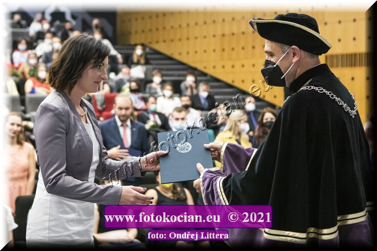 Náhled obrázku: _60A1421.jpg