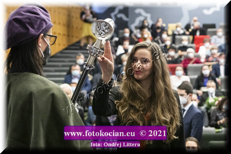 Náhled obrázku: _60A1427.jpg