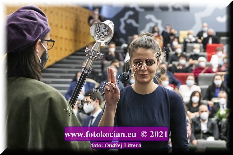 Náhled obrázku: _60A1439.jpg