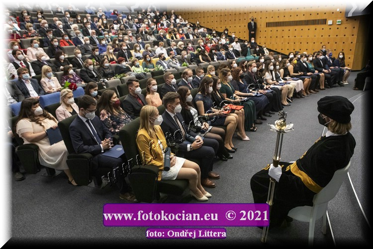 Náhled obrázku: _60A1478.jpg