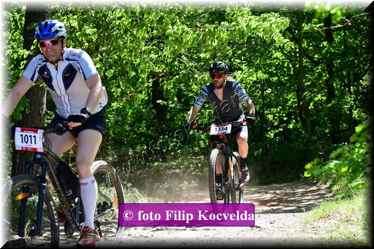 Náhled obrázku: 2022-3371-Opava-1334.JPG