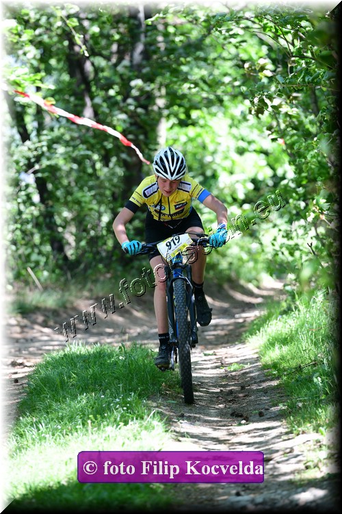 Náhled obrázku: 2022-3465-Opava-919.JPG