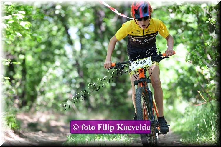 Náhled obrázku: 2022-3478-Opava-933.JPG