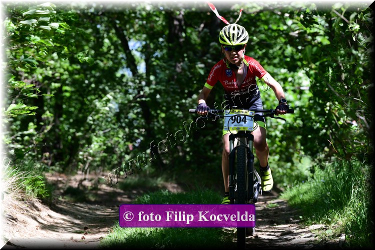 Náhled obrázku: 2022-3481-Opava-904.JPG