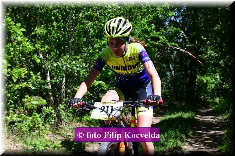 Náhled obrázku: 2022-3490-Opava-911.JPG