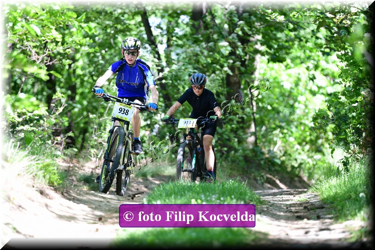 Náhled obrázku: 2022-3505-Opava-938.JPG