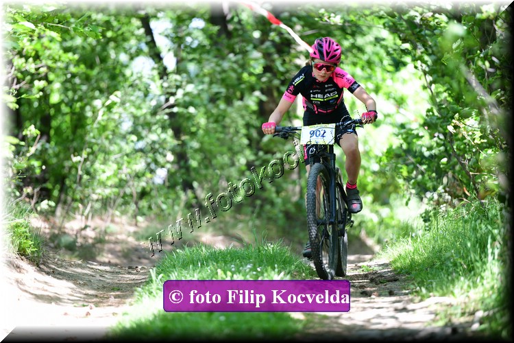 Náhled obrázku: 2022-3514-Opava-902.JPG