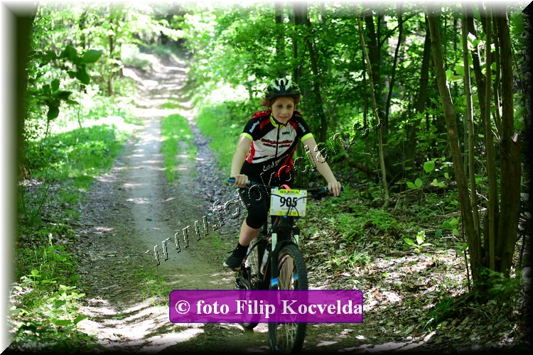 Náhled obrázku: 2022-3570-Opava-905.JPG