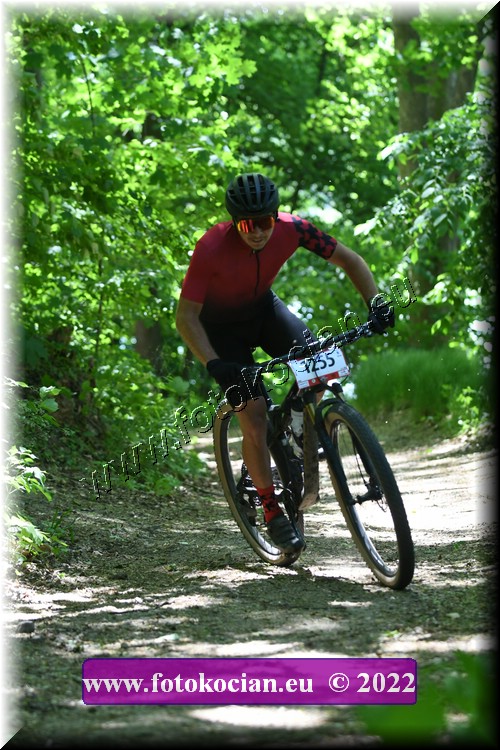 Náhled obrázku: 2022-1995-Opava-1255.JPG