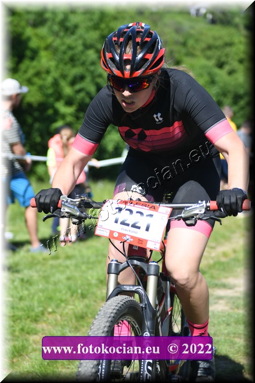 Náhled obrázku: 2022-1690-Opava-1221.JPG