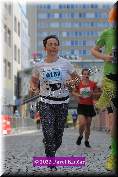 Náhled obrázku: 2022-2019-Zlin-187.JPG