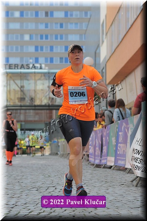 Náhled obrázku: 2022-2043-Zlin-206.JPG