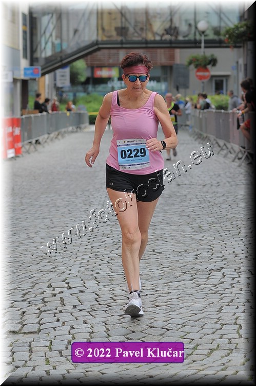 Náhled obrázku: 2022-2546-Zlin-229.JPG