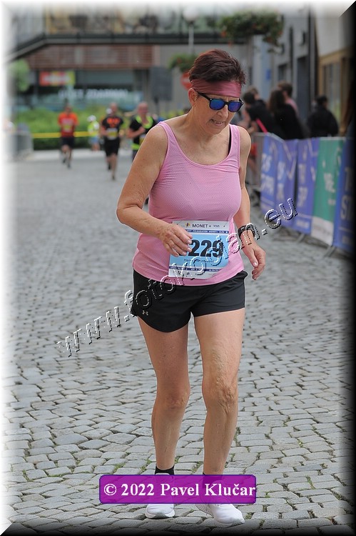 Náhled obrázku: 2022-2547-Zlin-229.JPG