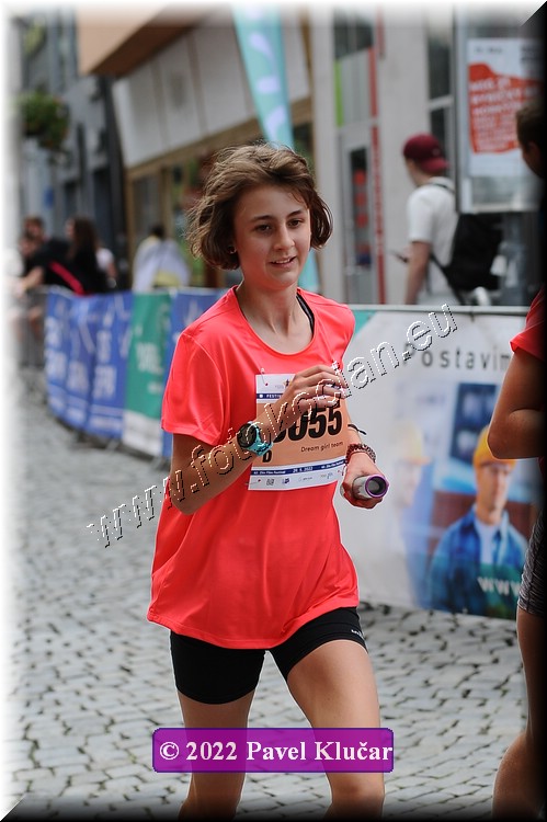 Náhled obrázku: 2022-3045-Zlin-3055.JPG