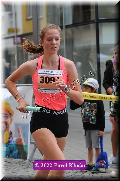 Náhled obrázku: 2022-3098-Zlin-3091.JPG