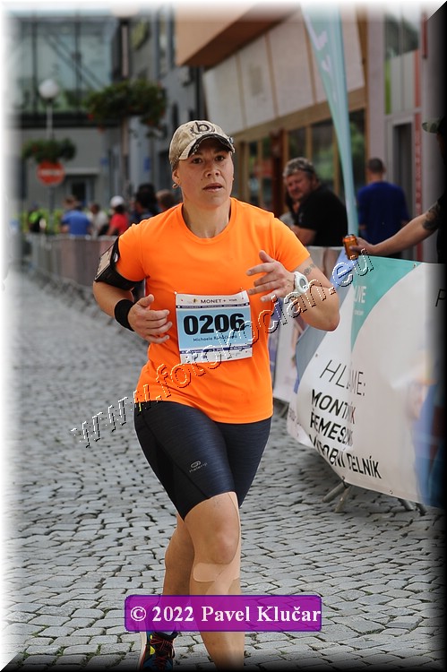 Náhled obrázku: 2022-3634-Zlin-206.JPG