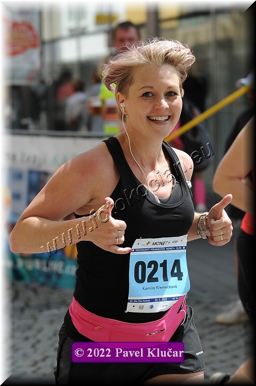 Náhled obrázku: 2022-3858-Zlin-214.JPG