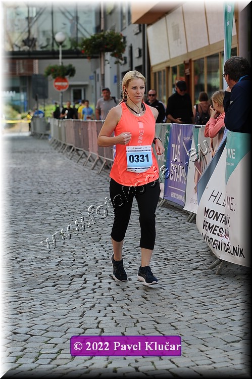 Náhled obrázku: 2022-3868-Zlin-331.JPG