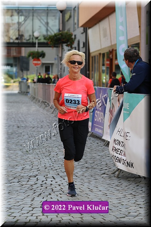 Náhled obrázku: 2022-3923-Zlin-233.JPG