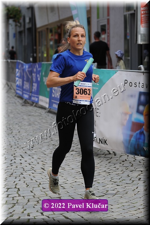 Náhled obrázku: 2022-4001-Zlin-3063.JPG