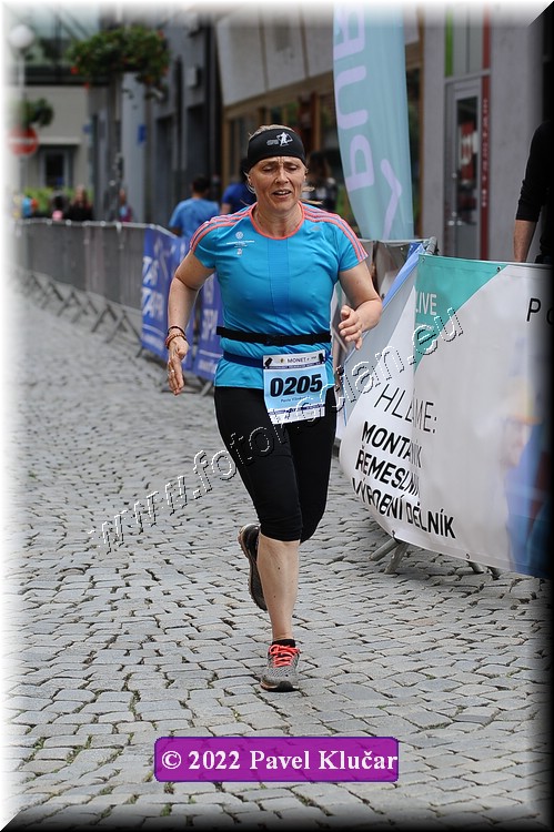 Náhled obrázku: 2022-4004-Zlin-205.JPG