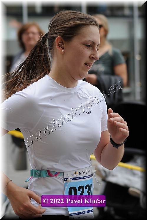 Náhled obrázku: 2022-4023-Zlin-230.JPG