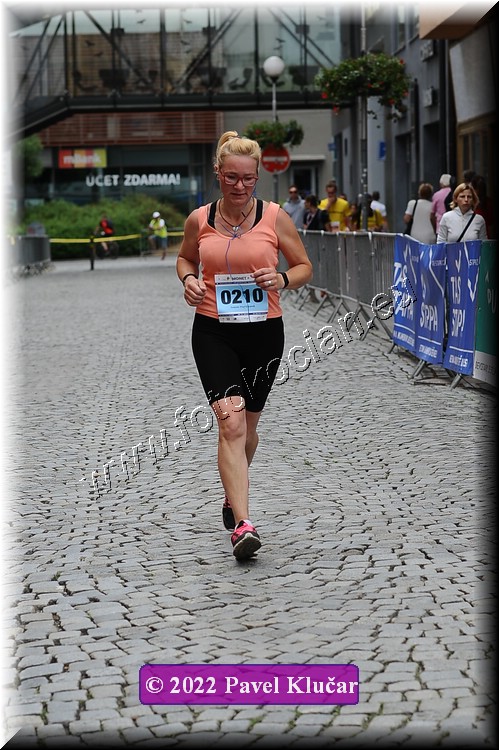 Náhled obrázku: 2022-4026-Zlin-210.JPG