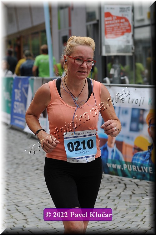 Náhled obrázku: 2022-4030-Zlin-210.JPG