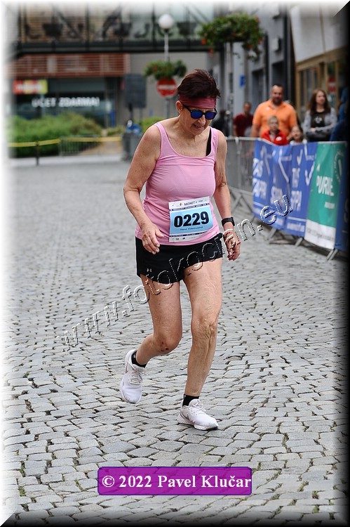 Náhled obrázku: 2022-4143-Zlin-229.JPG