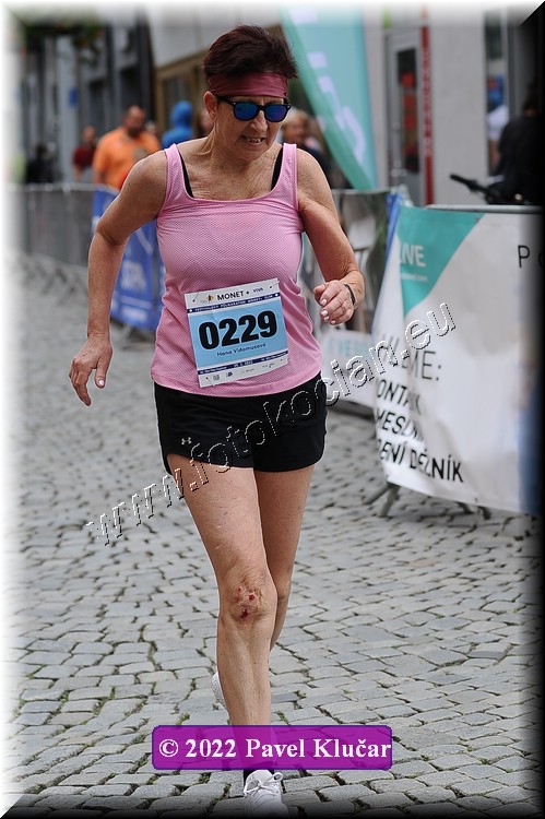 Náhled obrázku: 2022-4145-Zlin-229.JPG